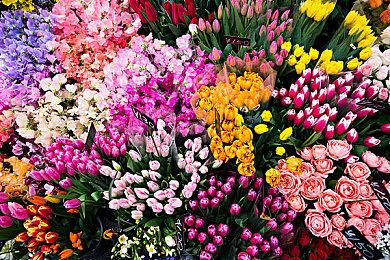 任天堂Switch 2或采用三星第5代V-NAND